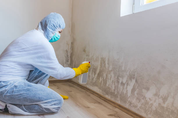 Licensed Bathroom Mold Removal service in Hayes, VA - WQB Mold Removal