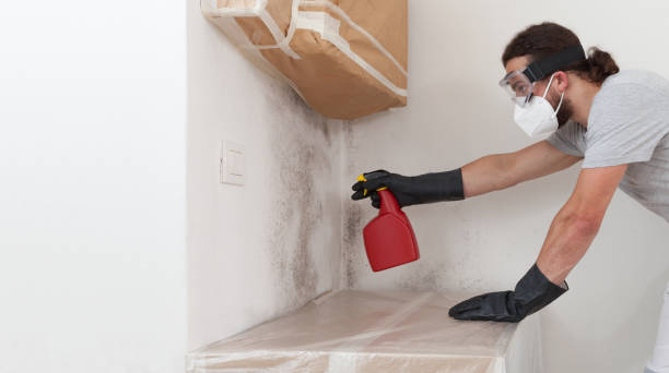 Professional Bathroom Mold Removal technician working in Hayes, VA